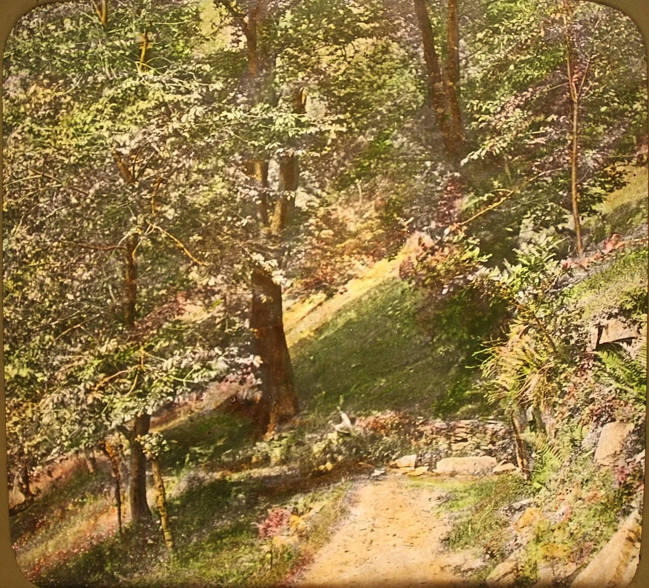 A entrada do vale de Angrogna. Keystone View Co., 1895. Domínio público.